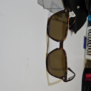 Ray-Ban Brown Frame Sunglasses